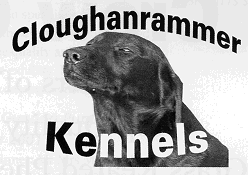 Cloughanrammer Kennels